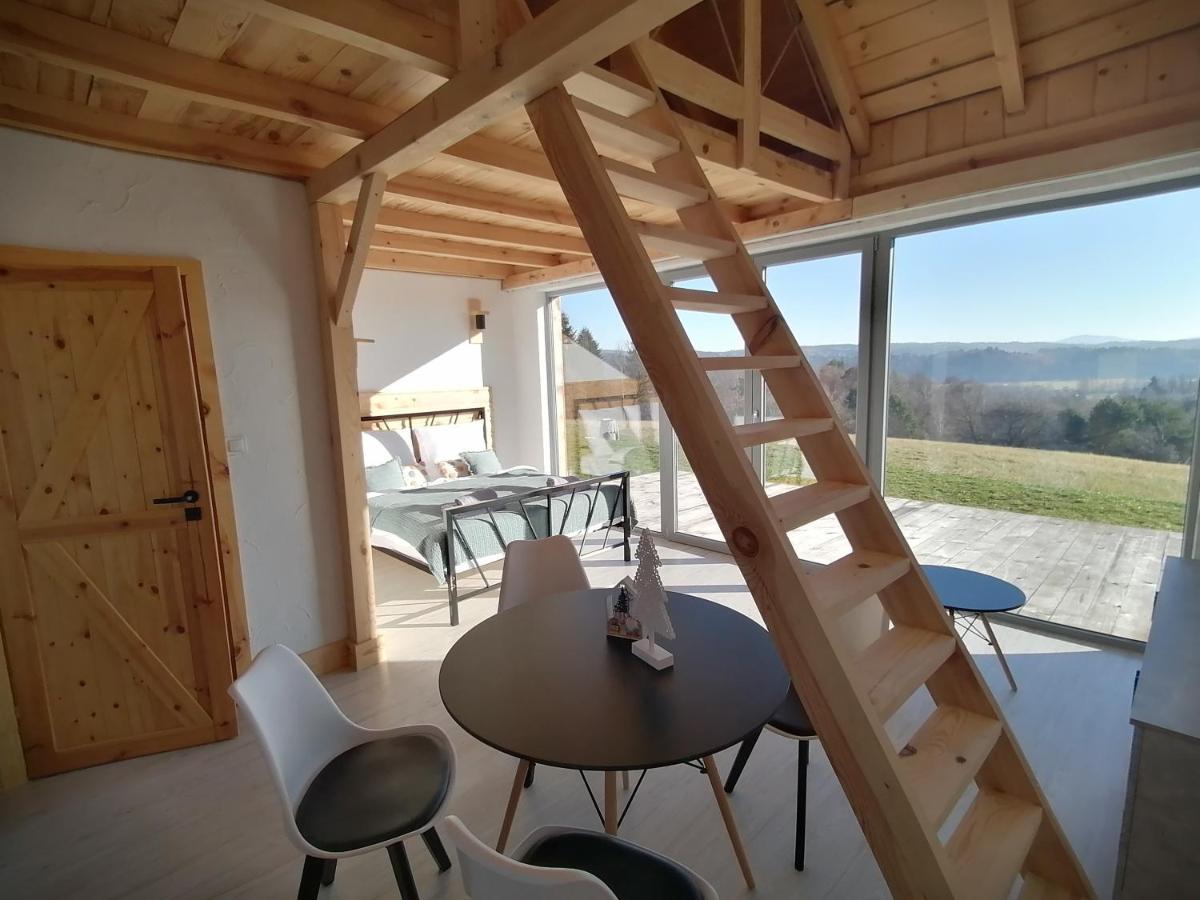 Villa Widokowe Stodoly Bieszczady Lesko Exterior foto